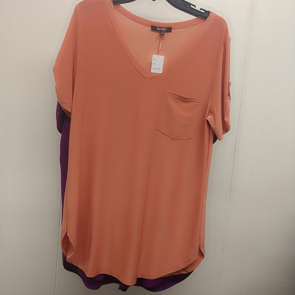 Short Sleeve V-neck Blouse
